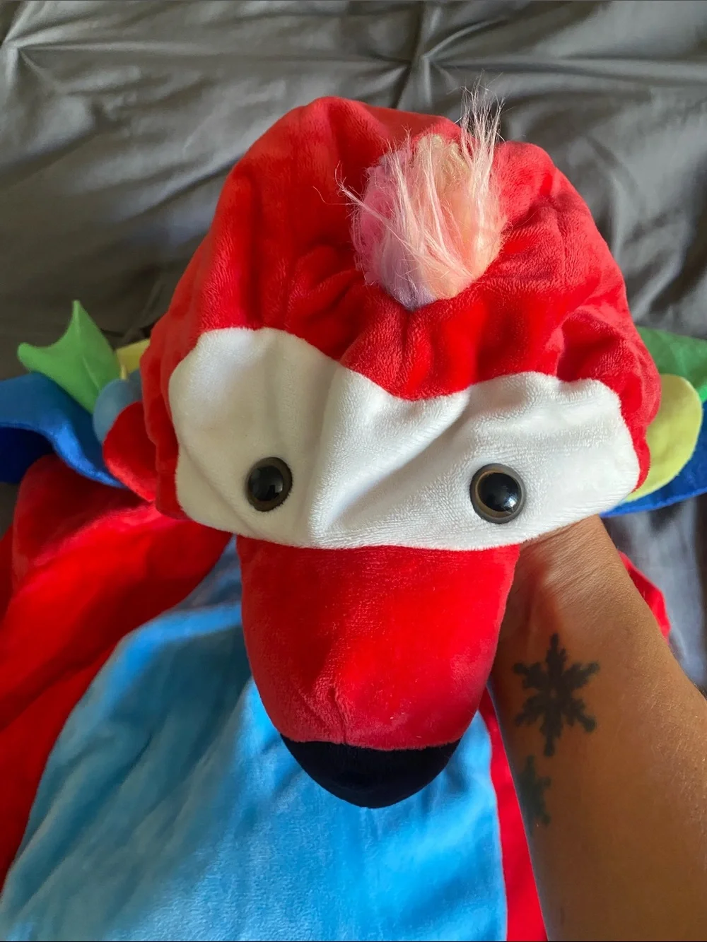 Hyde and Eek! Parrot Costume 12-18M